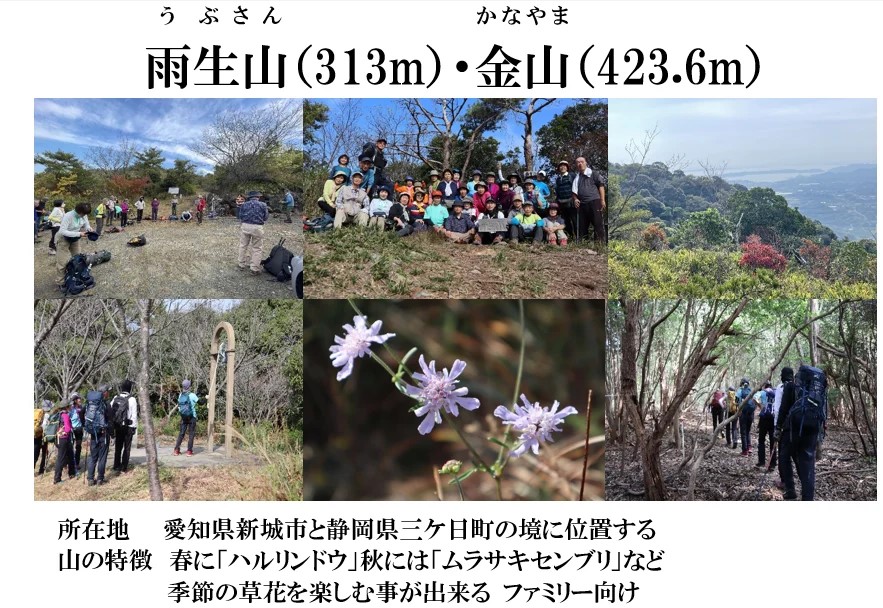 クラブ山行（2023.11.5）