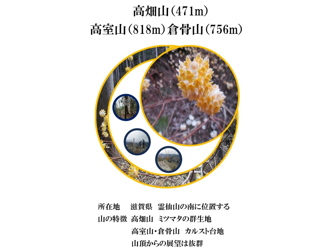 クラブ山行(2025.03.30)