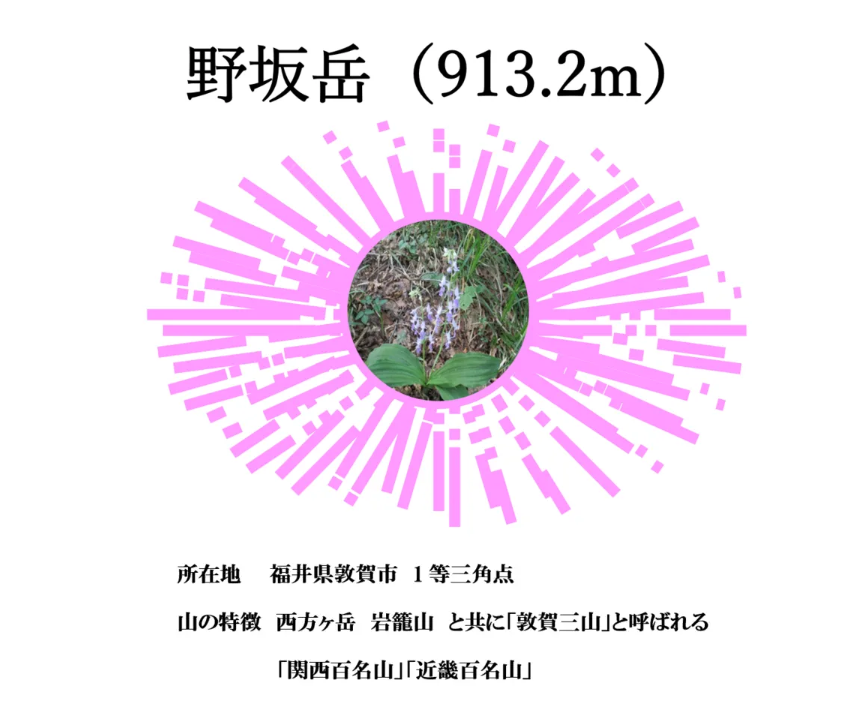クラブ山行(2025.8.17)