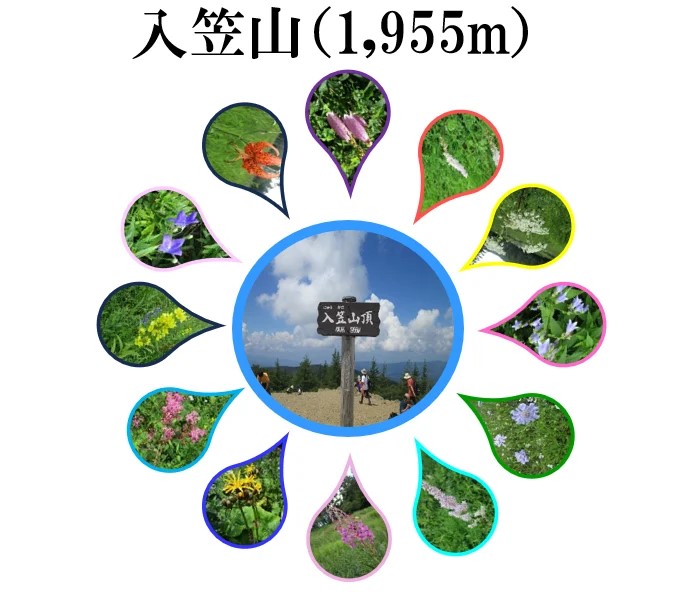 クラブ山行(2024.8.4)